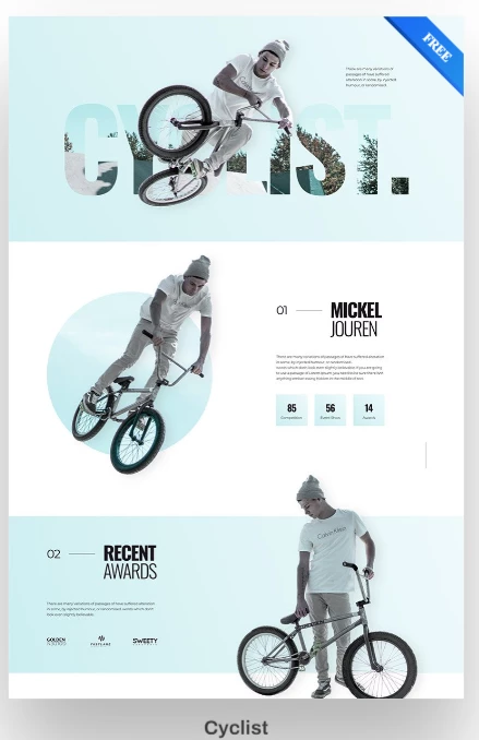 Phlox WordPress theme Cyclist demo